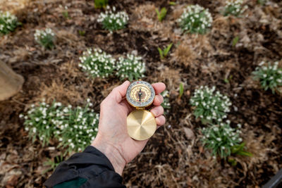 Close-up of hand holding navigational compass on against plants