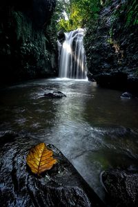 Scenic view of waterfall in forest