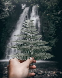 Close-up of hand holding leaves against waterfall