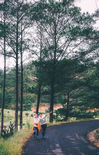 People walking on road amidst trees in forest