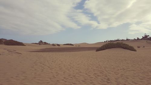 View of sand dunes at beach against cloudy sky