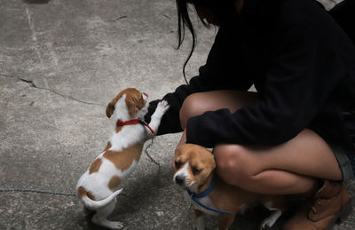 Midsection of woman with dog sitting outdoors