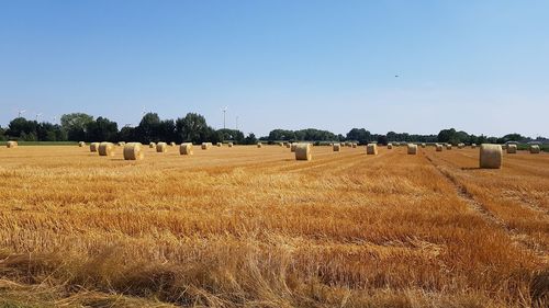 Hay bales on field against clear sky