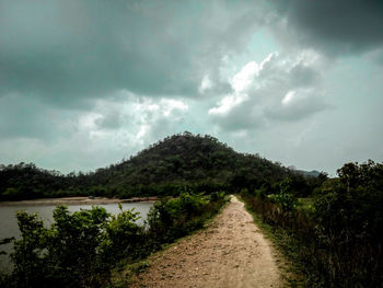 Scenic view of road amidst trees against sky