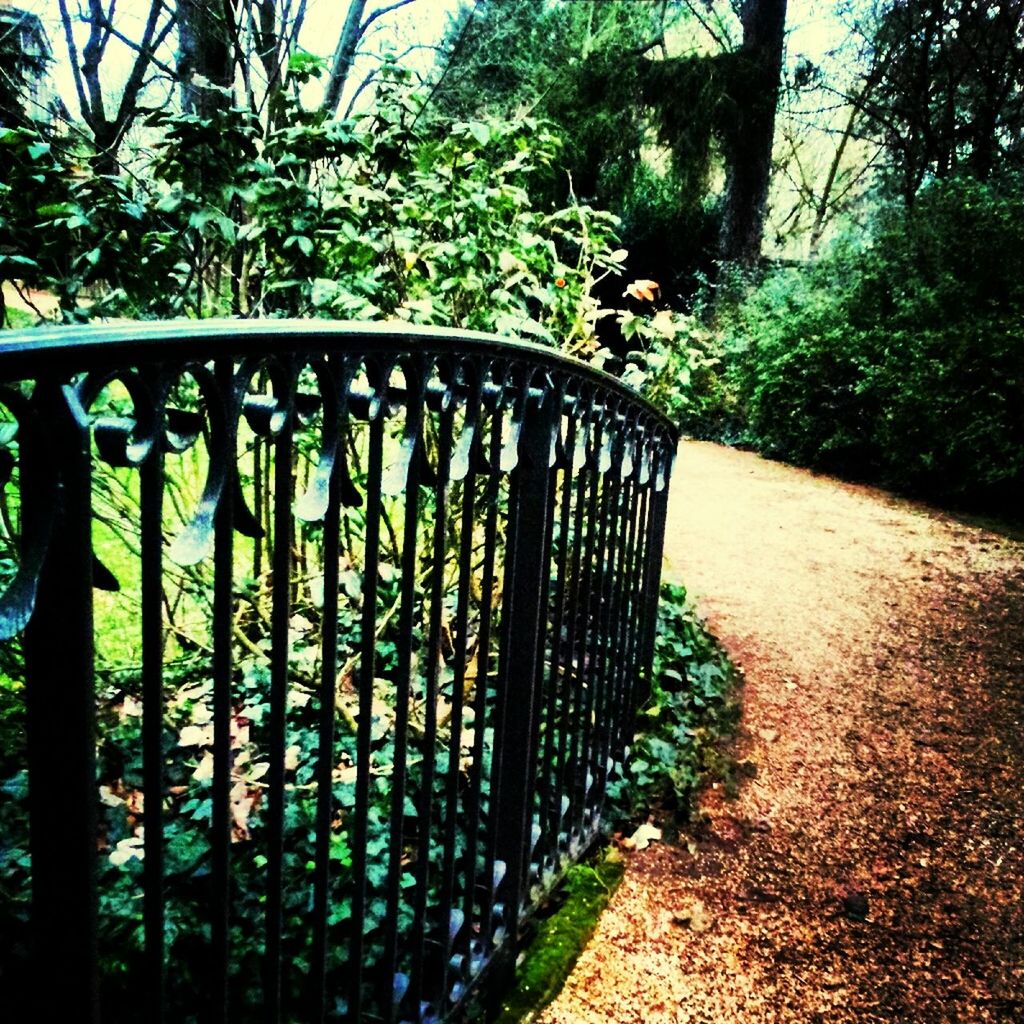 tree, railing, growth, park - man made space, fence, plant, bridge - man made structure, connection, built structure, tranquility, nature, green color, metal, branch, sunlight, footbridge, architecture, no people, footpath, day