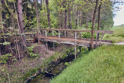 View of bridge in forest