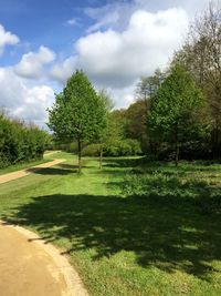 Trees on field against cloudy sky