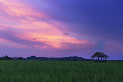 Scenic view of field against sky during sunset