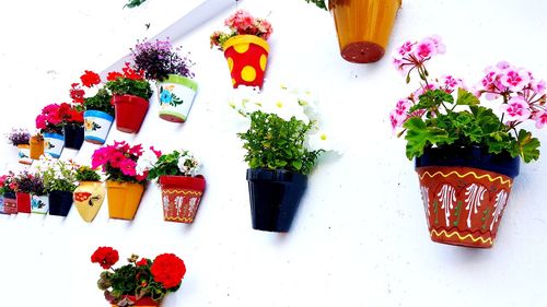 High angle view of potted plants on table