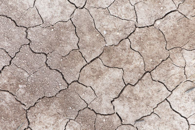 Cracked earth due to lack of water in the municipality of monforte del cid,  spain