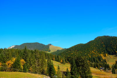 Scenic view of landscape against blue sky