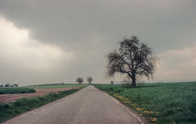 Road amidst trees on field against sky