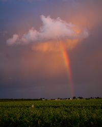 Scenic view of field against cloudy sky