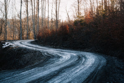 Muddy road amidst trees in forest during autumn