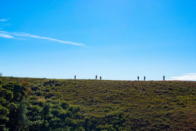 Scenic view of field against blue sky