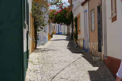 Footpath amidst buildings in city