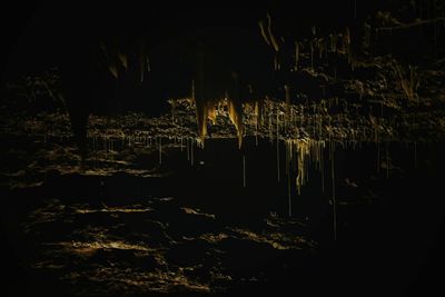 Illuminated firework display at night