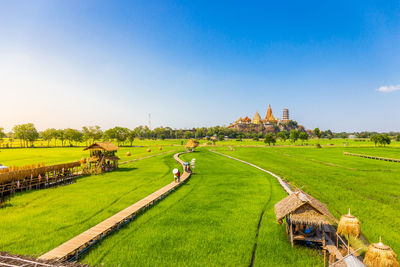 Scenic view of farm against sky