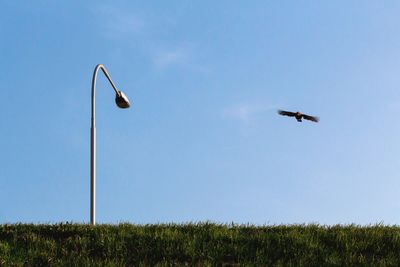 Low angle view of airplane flying against clear blue sky