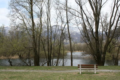 Empty bench by bare trees on field