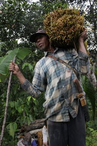 Full length of man in a tree