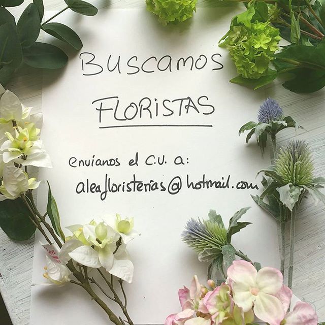 Florista