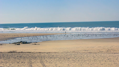 Scenic view of beach against clear sky