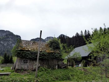 Trees and plants growing on field by houses against sky