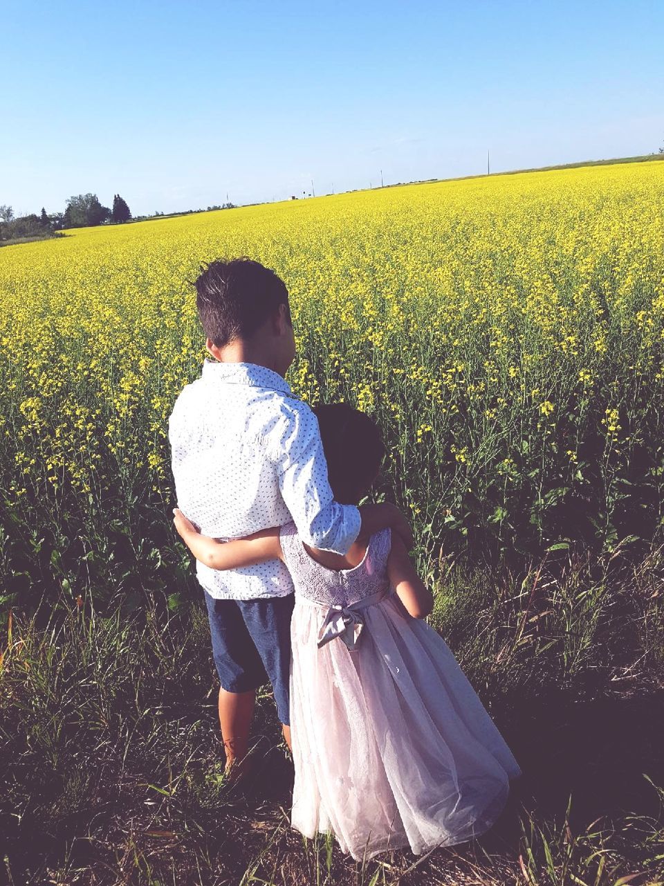 field, land, plant, real people, growth, landscape, nature, one person, rear view, leisure activity, beauty in nature, casual clothing, sky, environment, rural scene, lifestyles, tranquil scene, child, day, green color, yellow, outdoors