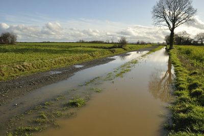 Scenic view of stream amidst field against sky