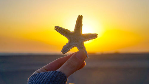 Close-up of hand holding sea against sky at sunset