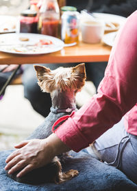 Rear view of man with dog sitting outdoors