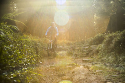 Rear view of man riding bicycle in forest