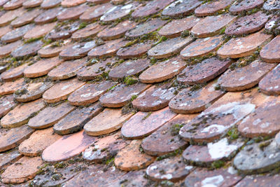 Full frame shot of roof