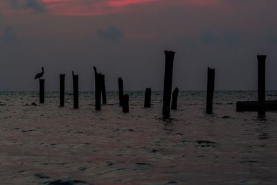 Wooden posts on beach against sky during sunset