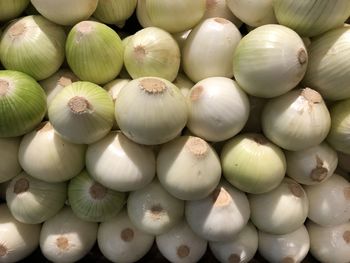 Fresh onions on counter for sale