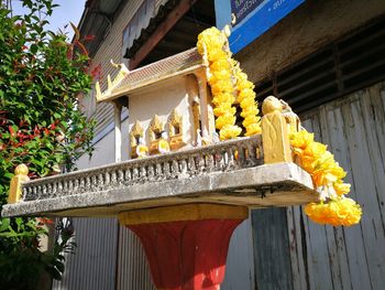 Low angle view of yellow flower against building