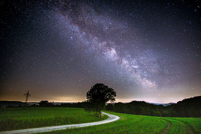 Trees on field against sky at night