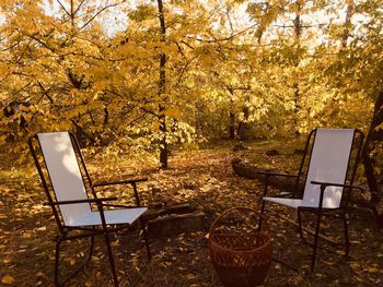 Empty chairs and table in park during autumn