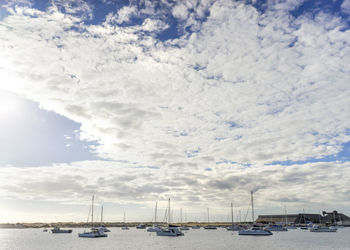 Sailboats moored at harbor against sky