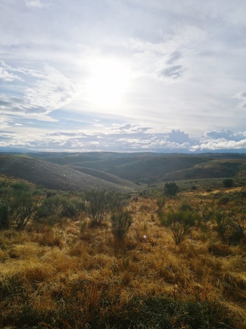 IDYLLIC SHOT OF LANDSCAPE AGAINST SKY