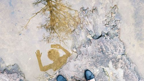 Low section of person standing on rock by puddle