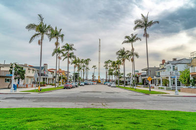 Road by palm trees and buildings against sky