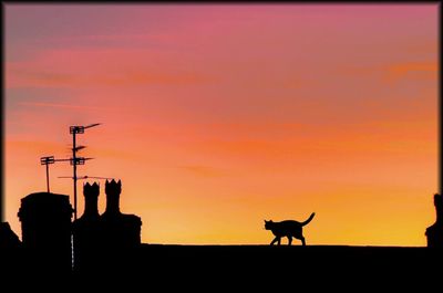 Silhouette of tree against sky at sunset