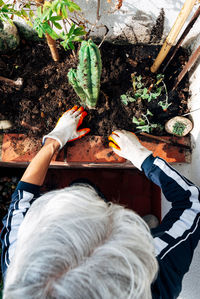 High angle view of man holding potted plant in yard