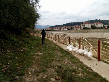 View of landscape against cloudy sky