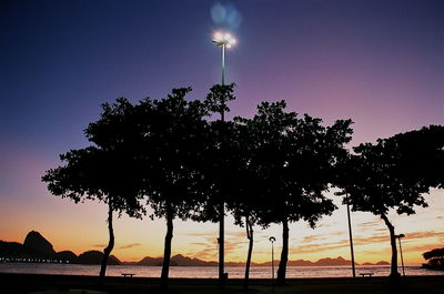 Trees by lake against sky at night