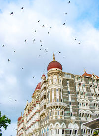 Low angle view of birds flying against sky
