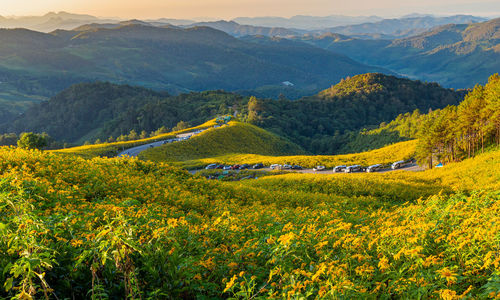 Scenic view of landscape and mountains against sky