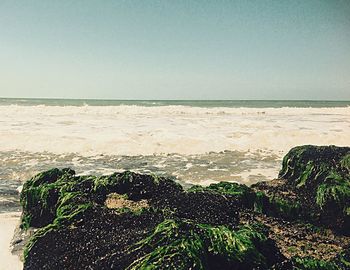 Scenic view of sea against clear sky